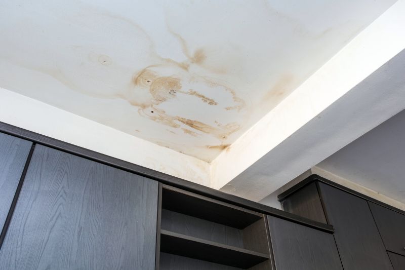 Building Damage Repair in Denver County, CO